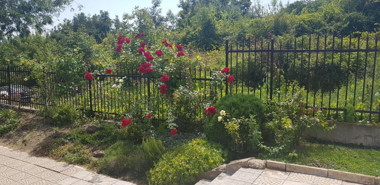 Harmony Hills Kolevi Apartments Рогачево Екстер'єр фото